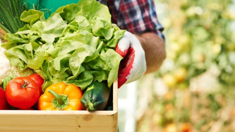 În Moldova, prețurile produselor agricole au crescut în medie cu 30,5%