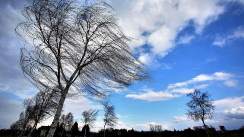 Alertă meteo: Cod Galben de vânt puternic în Moldova. Perioada vizată