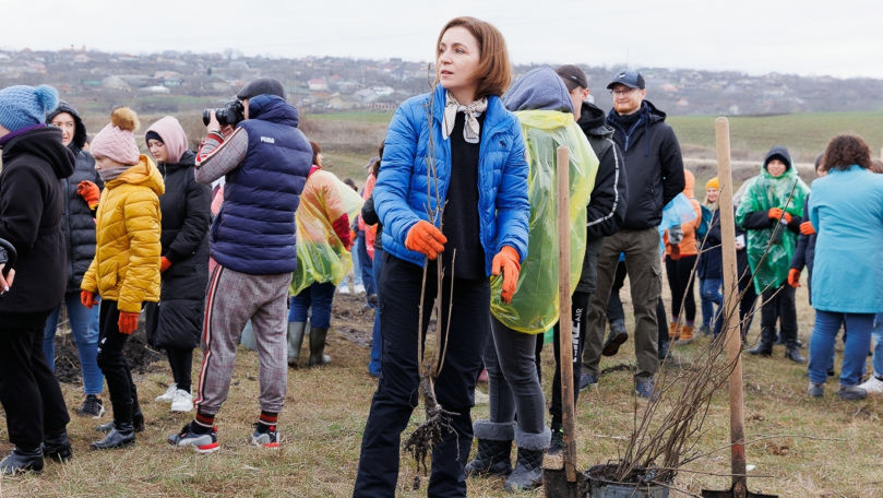 Maia Sandu dă start campaniei de împădurire: Să avem o țară mai verde