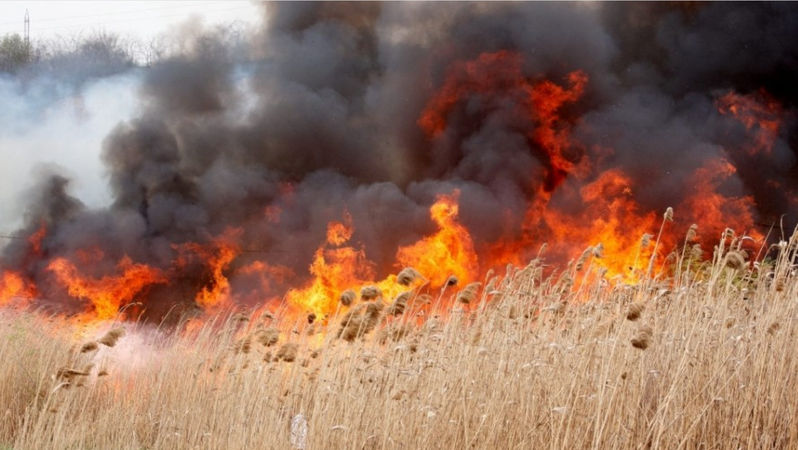 Alertă meteo: Cod Galben de incendii vegetale în toată țara