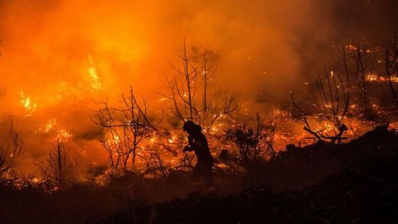Incendiile de vegetație din Grecia s-au soldat cu cel puțin un mort
