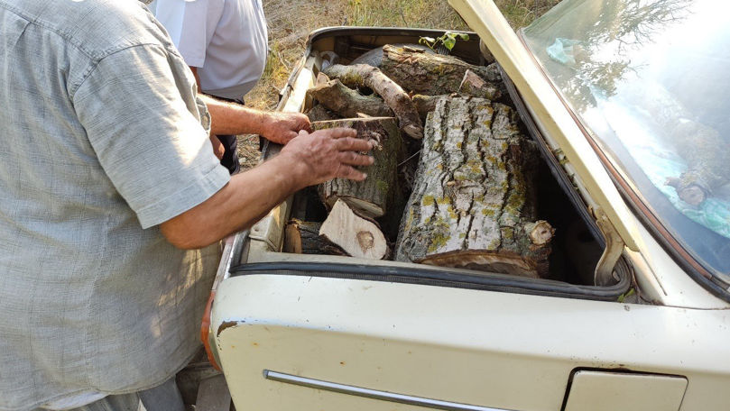 Un nuc tăiat ilegal la Căușeni l-a costat pe un bărbat 2.500 de lei