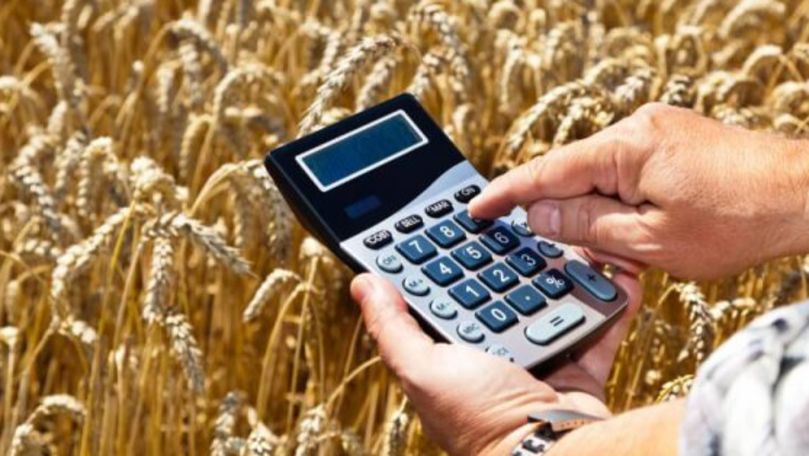 IFAD предлагает фермерам Молдовы гранты до $200 тысяч на развитие инфраструктуры.