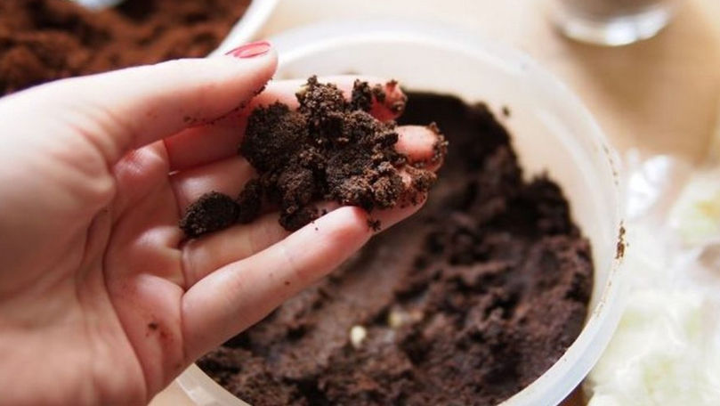 De ce ar trebui să pui zaț de cafea la rădăcina plantelor