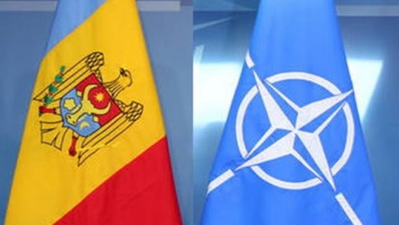 Planul de acțiuni al parteneriatului Moldova-NATO, discutat la Bruxelles