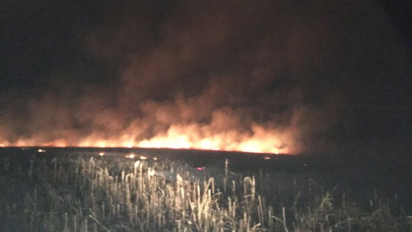 Incendiu de vegetație, filmat la Ungheni. Avertizarea pompierilor