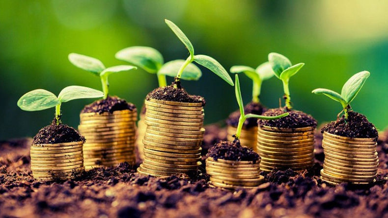 В апреле AIPA выделило аграриям свыше 84 млн леев.