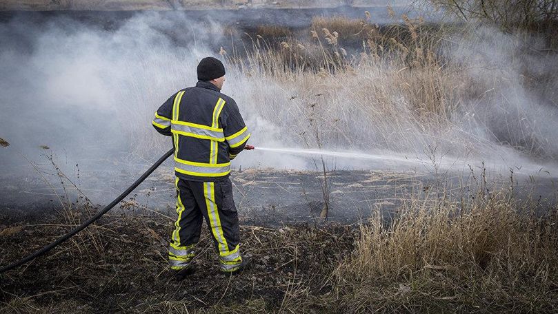 Incendii de vegetație: 194 de hectare au ars în doar 24 de ore