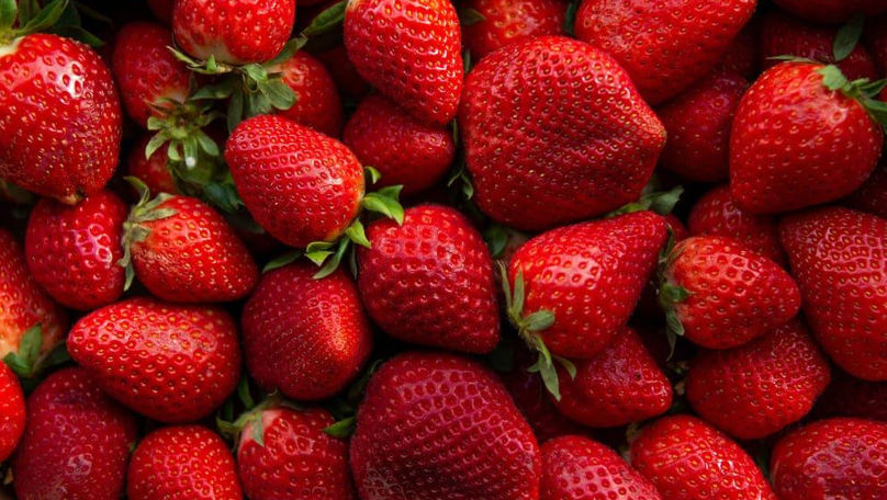 Exemplul unui agricultor din Drochia care mizează pe producție ecologică