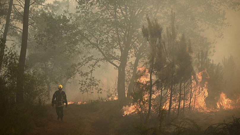 Тысячи гектаров леса полыхают в Испании и на юго-западе Франции.