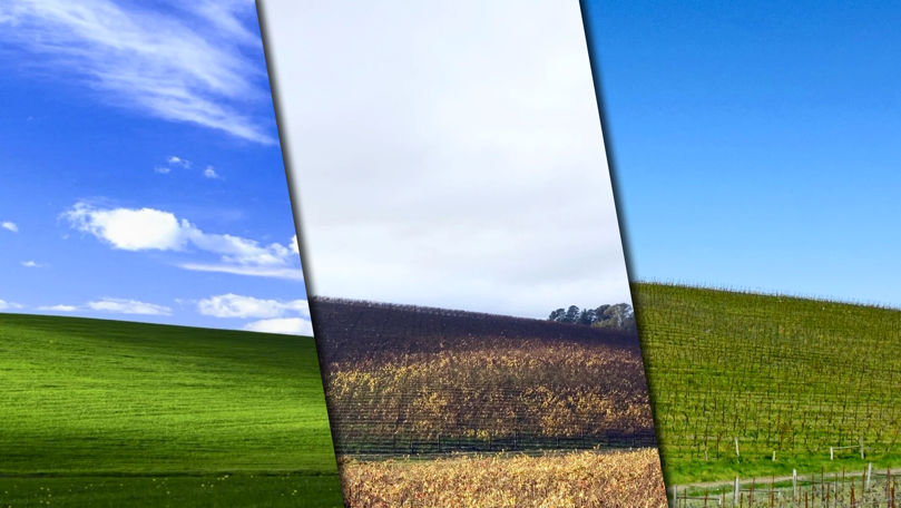 Așa arată azi dealul din Windows XP: Internauții, șocați de realitate
