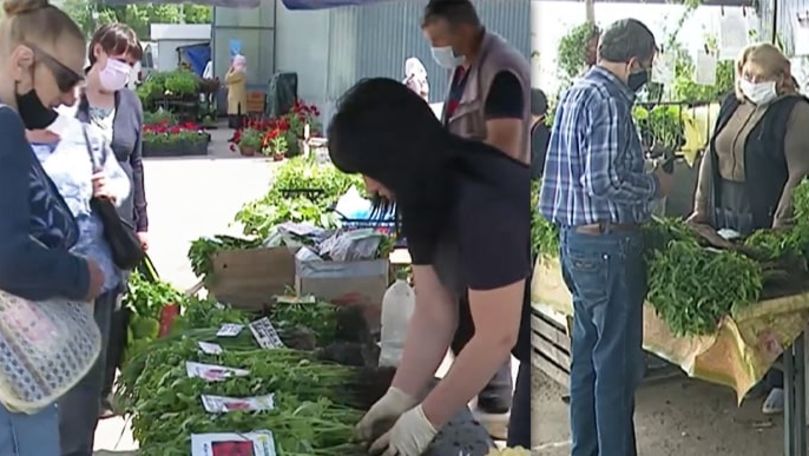 Fermierii, nemulţumiţi de vânzările la răsad: Rău de tot. Nu se vinde