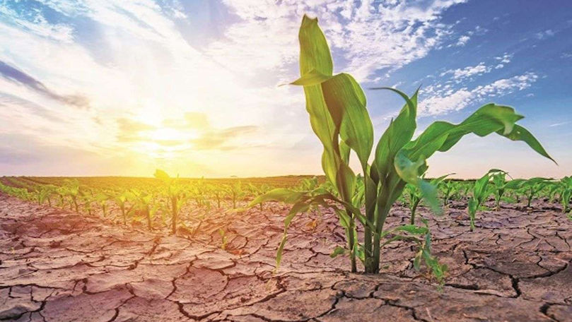 R. Moldova, un stat foarte vulnerabil în fața schimbărilor climatice