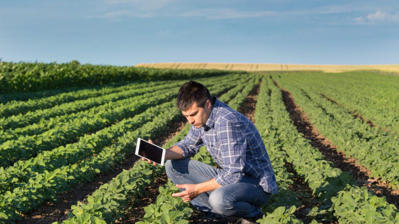 IPA anunță primele debursări pentru agricultori. De ce sume este vorba