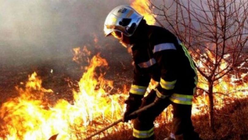 Incendiu la Sângera: Un teren cu vegetație uscată, cuprins de flăcări