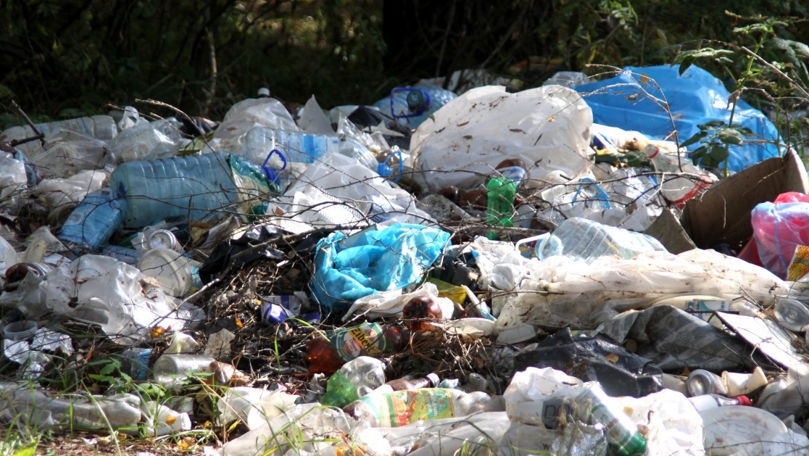 В Кишинёве вывезли более 170 прицепов мусора за неделю.