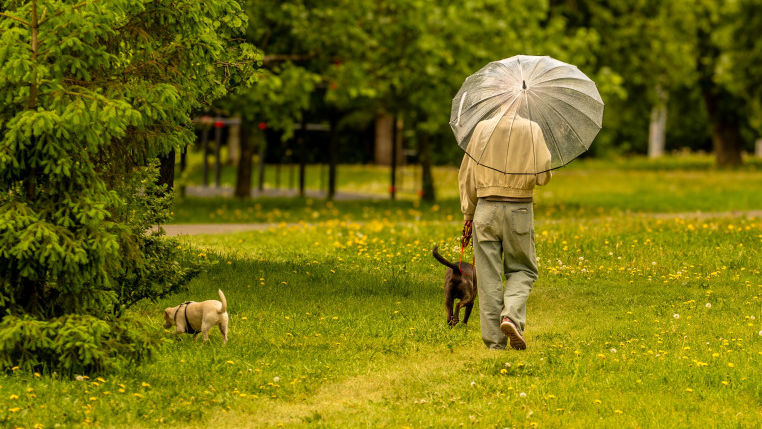 Vremea instabilă se menține în R. Moldova: Prognoza meteo