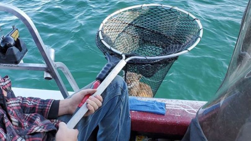 Doi americani au pescuit un pui de linx în mijlocul unui lac