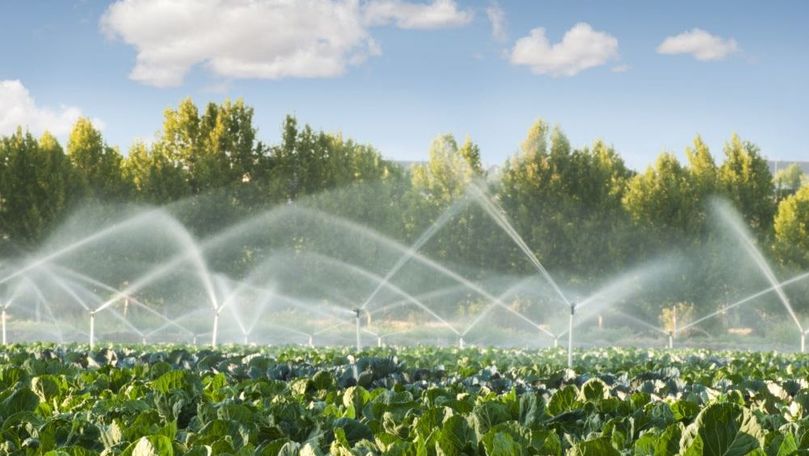 Ministrul Agriculturii: Cu semănatul de toamnă stăm la un nivel bun