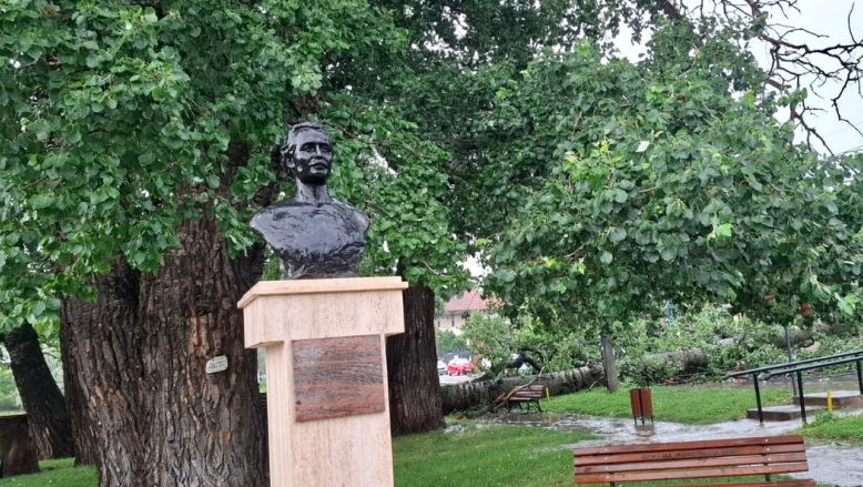 Unul dintre copacii care l-au inspirat pe Mihai Eminescu a căzut la Iași
