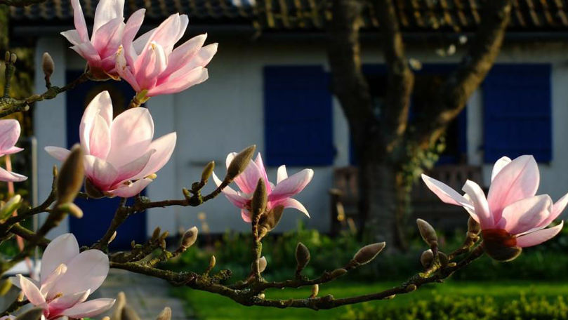 В выходные ожидается до +24 ℃, местами возможны дожди.