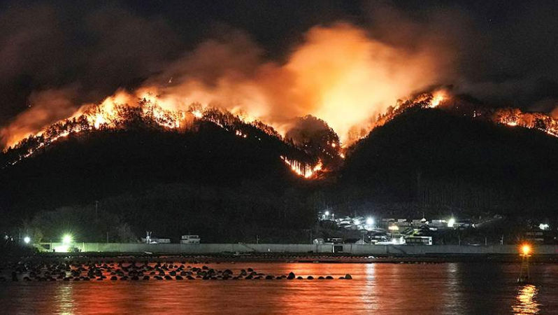 В Японии 1 400 пожарных борются с масштабными лесными пожарами.