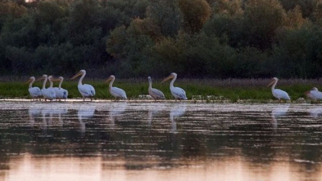 Drumul de acces către Lacul Beleu va fi reconstruit cu sprijinul UE