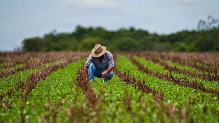 Agricultura Moldovei în 2024 va fi modestă înregistrând o creștere de 1%