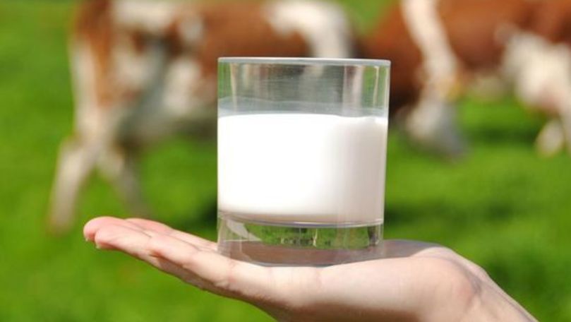 Cerințe mai stricte pentru laptele importat în R. Moldova