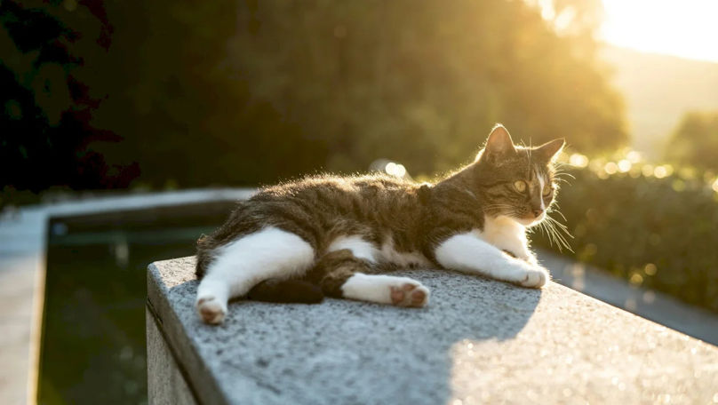 Meteorologii prognozează temperaturi peste normă în luna mai