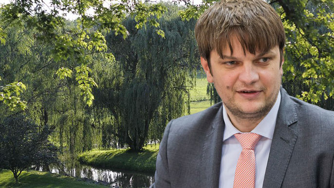 Sursă de energie: R. Moldova ar putea planta 100 de hectare de salcie