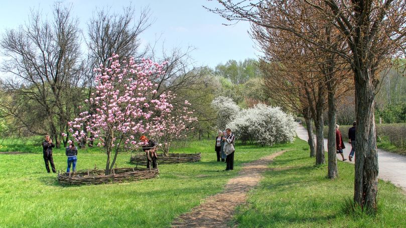 Restricții pentru vizitatorii Grădinii Botanice din Capitală