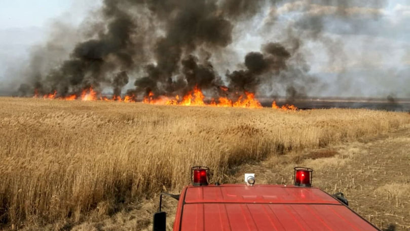 Avertizare meteo: Cod Galben de caniculă și pericol de incendiu în țară