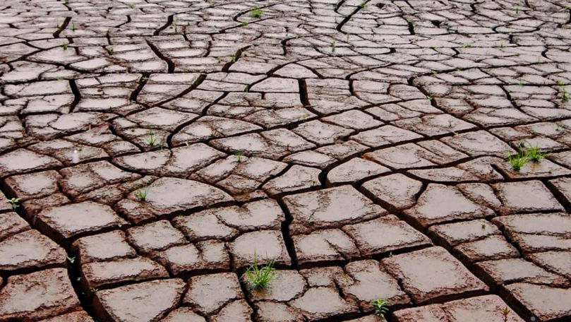 Fenomenul El Niño ar fi provocat cea mai mare extincție de pe Pământ