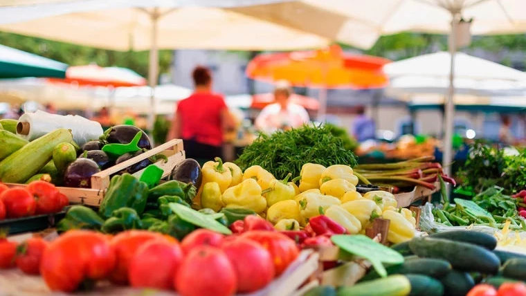 BNS: Producția agricolă a scăzut cu 5,8% în prima jumătate a anului 2025