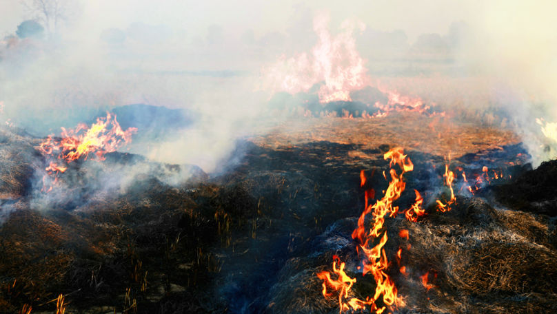 Groapa de gunoi din Băcioi arde de trei zile. Ce spune primarul