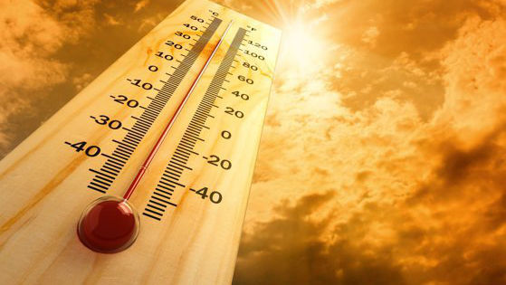 Valurile de căldură din Europa ar fi putut cauza peste 20.000 de decese