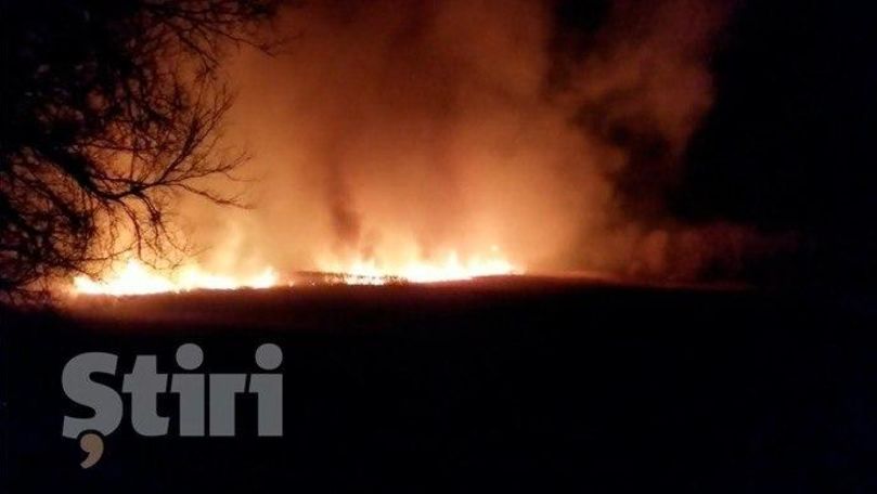 Flăcări puternice, filmate seara lângă o pădure de la Anenii Noi