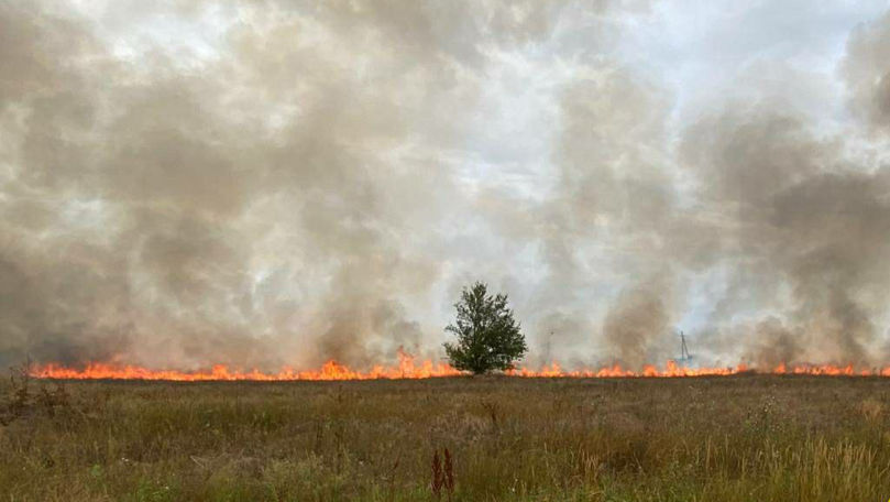 Incendiu de vegetație în stânga Nistrului: Circa șase hectare, afectate