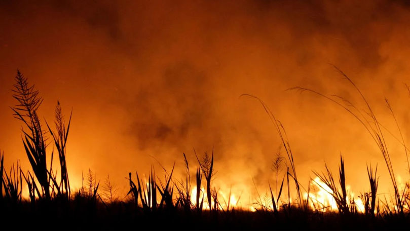 Alertă la hotarul moldo-ucrainean: Incendiile bântuie prin Ucraina