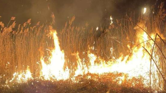 Incendiu de vegetație puternic la Bălți. Două hectare de stuf au ars