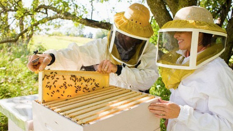 Более 40 начинающих сельскохозяйственных предпринимателей получат субсидии от государства.