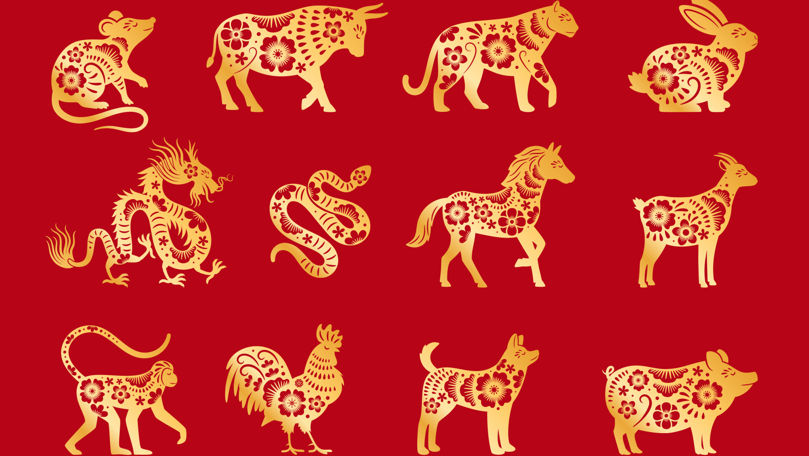 Care sunt cele mai norocoase zodii din horoscopul chinezesc