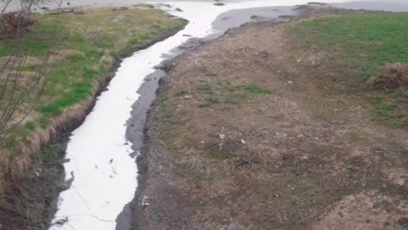 Un lichid de culoare albă, filmat cum se scurge în râul Nistru