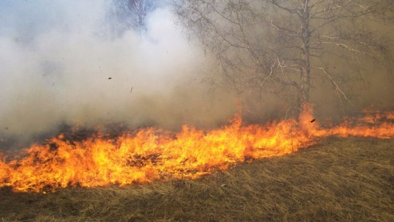 Studiu: Comunitățile trebuie să se adapteze la incendiile de vegetație