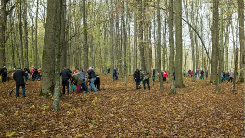 Când va fi organizată Ziua Naţională de creare a spațiilor verzi