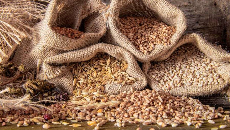 Fermierii cer încă o prelungire a importului de cereale din Ucraina