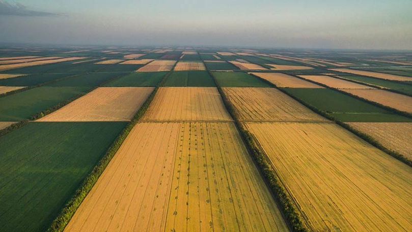 Agricultura pierde teren: Suprafața însămânțată, în declin în 2024