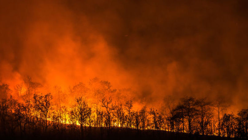 Incendiu în Coreea de Sud: A fost declarată stare de urgență națională