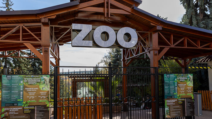 Pui de zebră, cangur și mieluți au venit pe lume la Grădina Zoologică